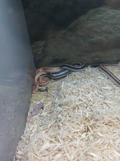 Pet Store «Super Pets», reviews and photos, 9403 E Las Tunas Dr, Temple City, CA 91780, USA