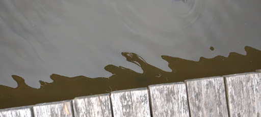 Winery «Gouveia Vineyards», reviews and photos, 1339 Whirlwind Hill Rd, Wallingford, CT 06492, USA