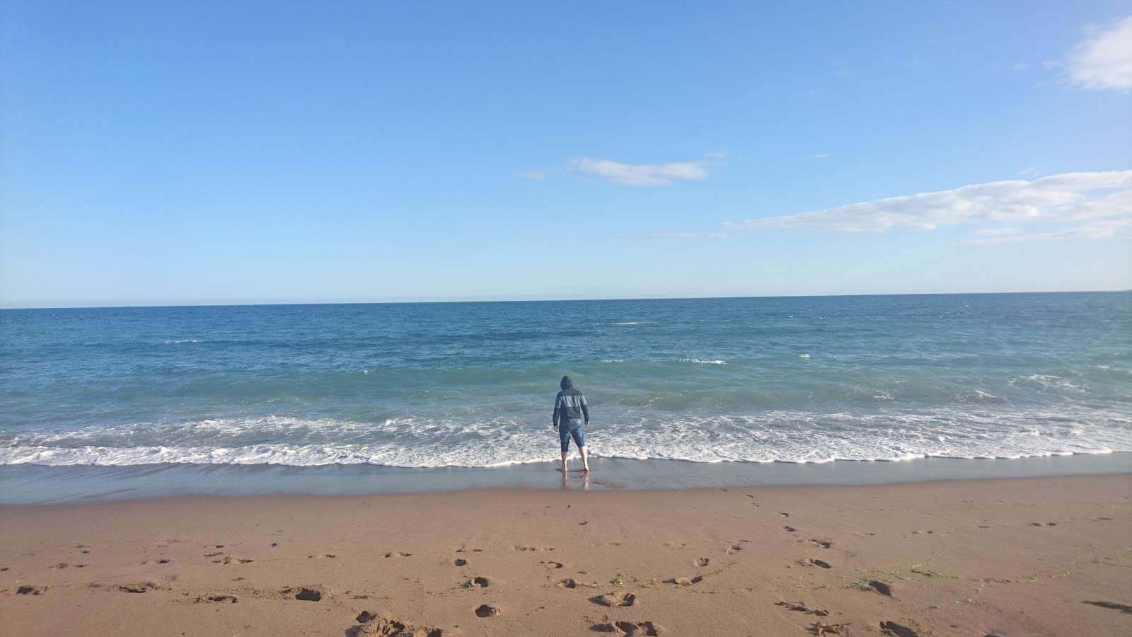 Photo de Carnivan Bay Beach - bon endroit convivial pour les animaux de compagnie pour les vacances