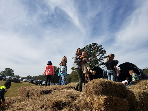 Tourist Attraction «Still Family Farm, LLC», reviews and photos, 5630 Macland Rd, Powder Springs, GA 30127, USA