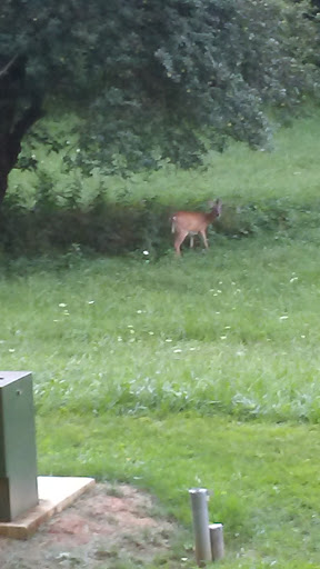 Resort «RedTail Mountain Resort», reviews and photos