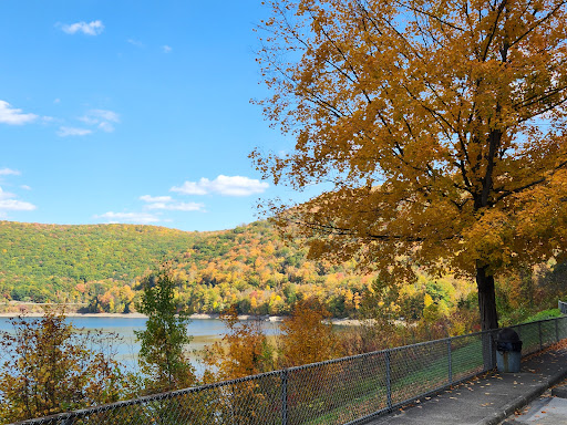 Fishing Area «Kinzua Dam», reviews and photos