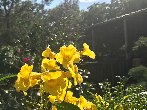 Winery «Lost Oak Winery», reviews and photos, 8101 County Rd 802, Burleson, TX 76028, USA