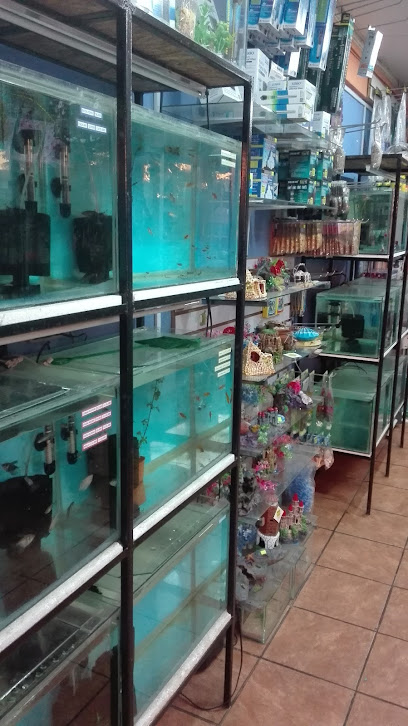 El Pez Dorado ( Tienda De Mascotas Y Peces)