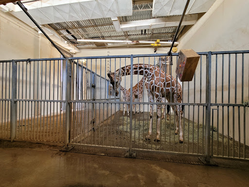 Zoo «Caldwell Zoo», reviews and photos, 2203 W Martin Luther King Jr Blvd, Tyler, TX 75702, USA