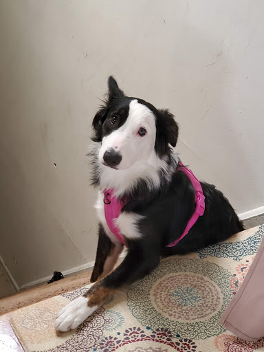 Cafe «Village Coffee», reviews and photos, 164 Maplewood Ave, Maplewood, NJ 07040, USA