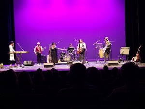 Emilie K. Asplundh Concert Hall - photo 8