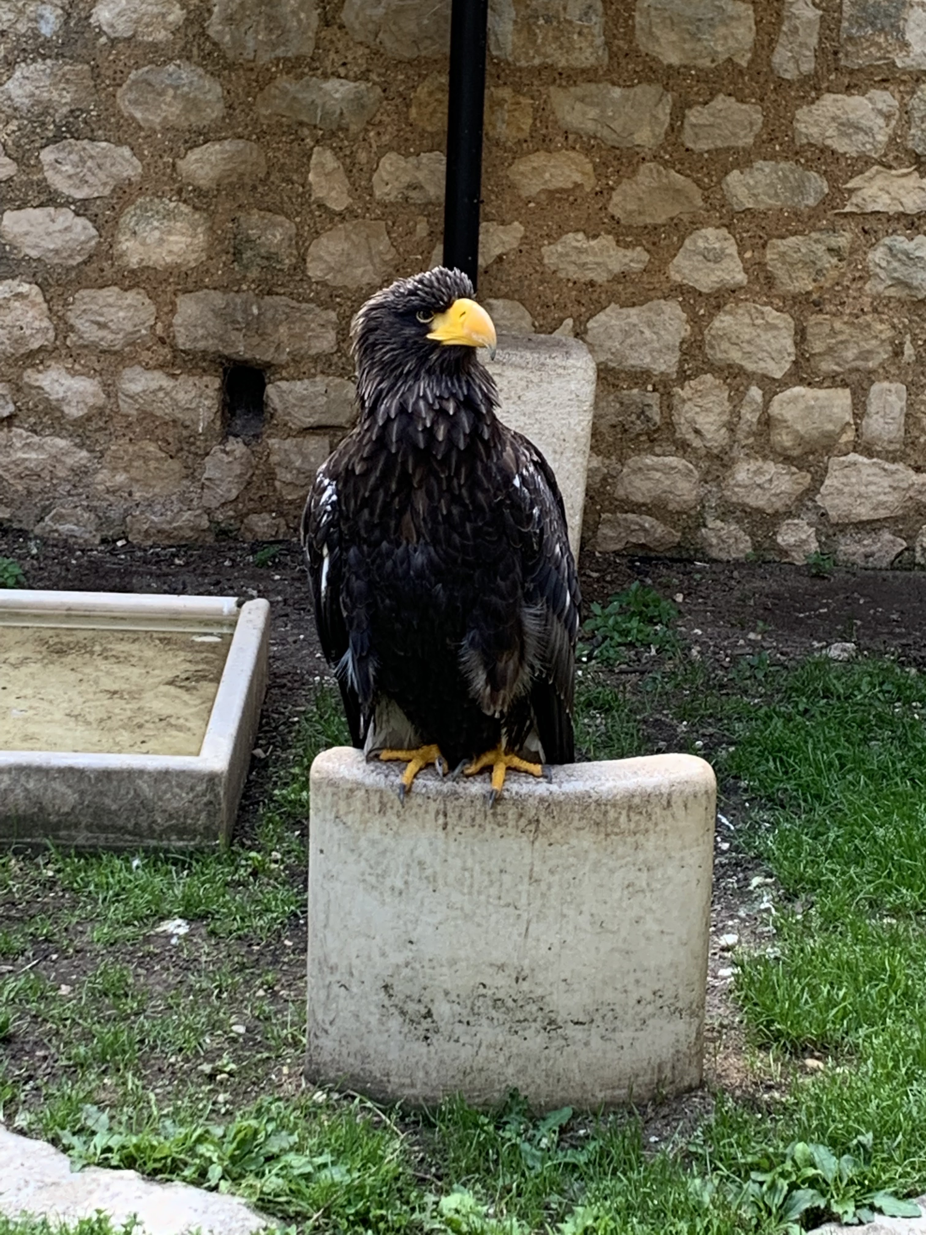 Photo n° 4 de l'avis de klava.a fait le 25/06/2021 à 20:04
