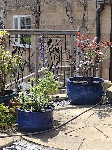 Convenience Store «Walgreens», reviews and photos, 1802 Main St, Chester, MD 21619, USA