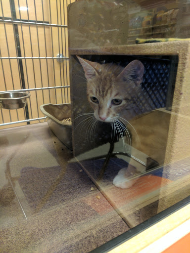 Pet Supply Store «Petco Animal Supplies», reviews and photos, 1450 Twixt Town Rd, Marion, IA 52302, USA