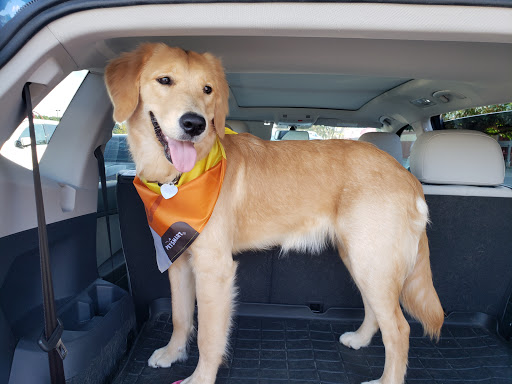 Pet Supply Store «PetSmart», reviews and photos, 142 Woodstock Square Ave, Woodstock, GA 30189, USA