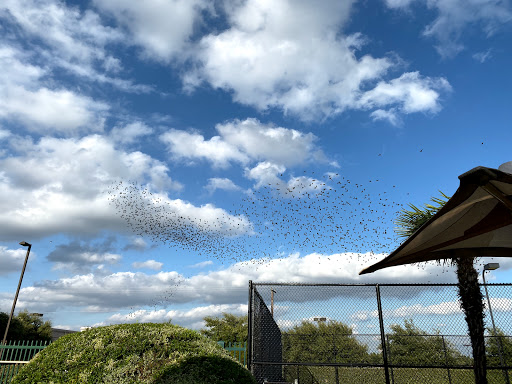 Gym «Life Time Fitness», reviews and photos, 5602 Naaman Forest Blvd, Garland, TX 75044, USA