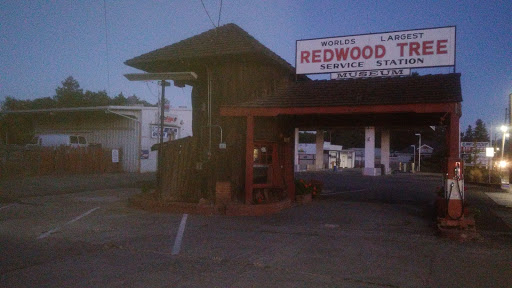 Auto Repair Shop «Redwood Tree Service Station», reviews and photos, 859 N State St, Ukiah, CA 95482, USA