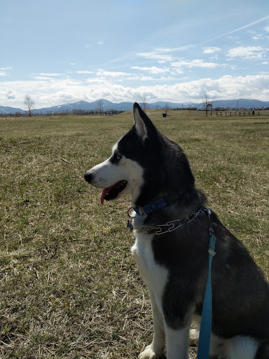 Animal Park «Dog Park At Gallatin County Regional Park (13 Acre w Pond)», reviews and photos, 3900 Baxter Ln, Bozeman, MT 59718, USA