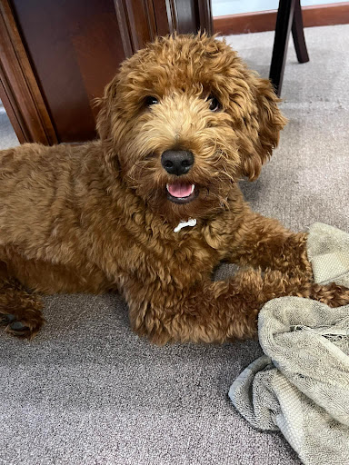 Nissan Dealer «Pat Peck Nissan - Gulfport», reviews and photos, 9480 US 49, Gulfport, MS 39503, USA