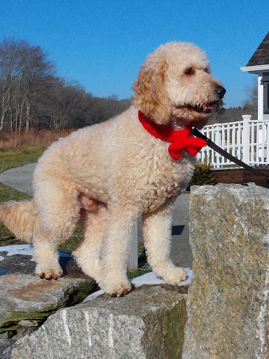 Park «Acushnet Sawmill», reviews and photos, 32 Mill Rd, Acushnet, MA 02743, USA