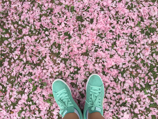 Park «Taylor Park», reviews and photos, 100 Main St, Millburn, NJ 07041, USA