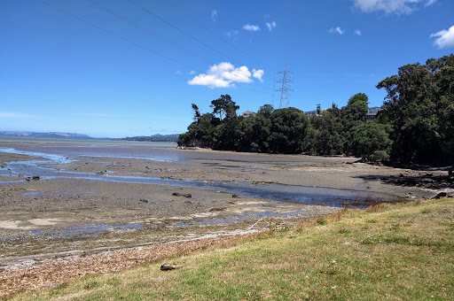 Lynfield Cove Beach