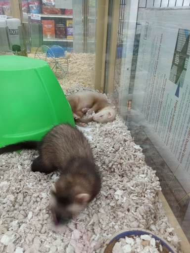 Pet Supply Store «Pet Supermarket», reviews and photos, 501 Cypress Gardens Blvd, Winter Haven, FL 33880, USA