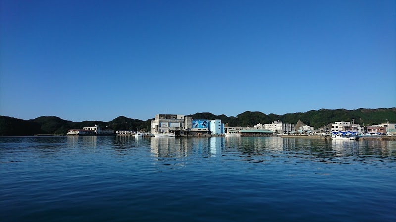 勝浦漁港緑地公園 駐車場