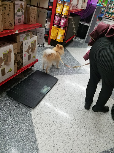 Pet Supply Store «Petco Animal Supplies», reviews and photos, 1694 Boston Rd, Springfield, MA 01129, USA