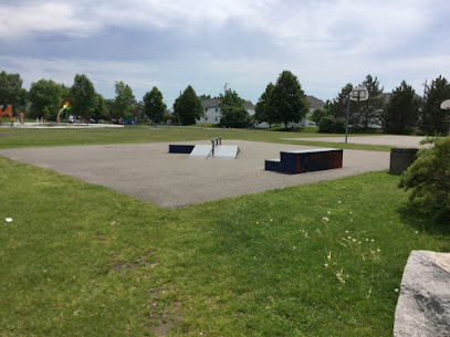 skate park guy dionne