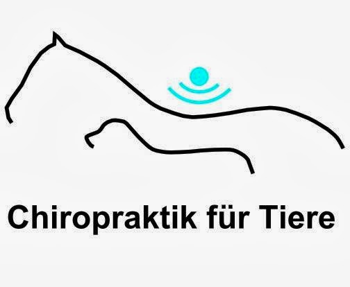Tierarztpraxis für Chiropraktik Dr. med. vet. Inken Hilgenstock unter Gifhorn, Niedersachsen