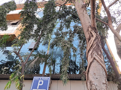 Google Maps image 17