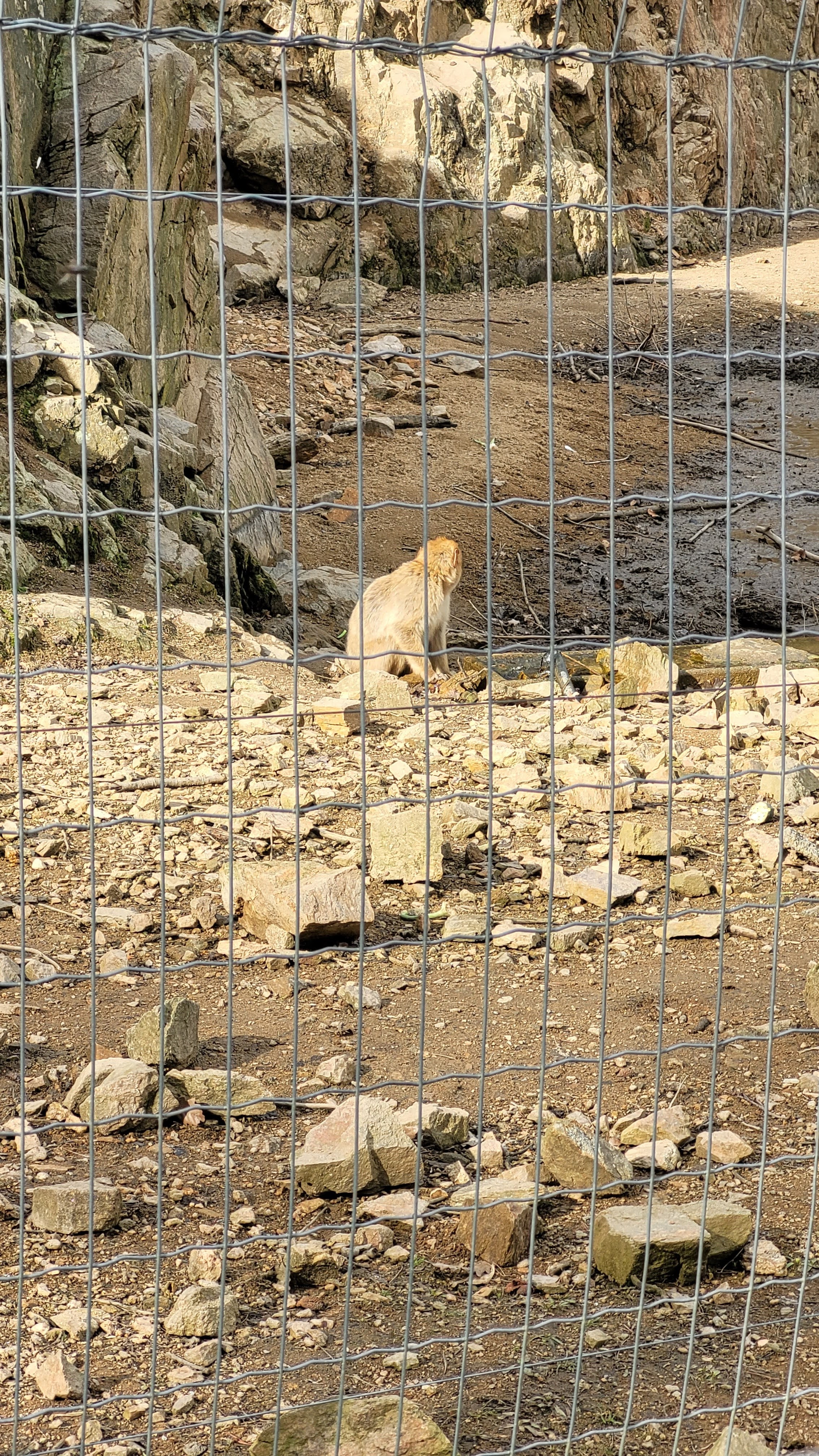Photo n° 2 de l'avis de Marvin.e fait le 17/02/2022 à 16:26