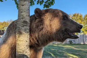 Animal Park of Pradinas image