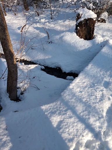 Golf Course «Charleston Springs Golf Course», reviews and photos, 101 Woodville Rd, Millstone, NJ 08510, USA