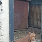 Photo n° 5 de l'avis de Sylvain.a fait le 08/10/2021 à 15:44 pour Clinique vétérinaire de la Forêt - Ferrières-en-Brie - Sevetys à Ferrières-en-Brie