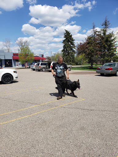 Pet Store «Feed Rite Pet Shop & Supply», reviews and photos, 11760 Belleville Rd, Belleville, MI 48111, USA