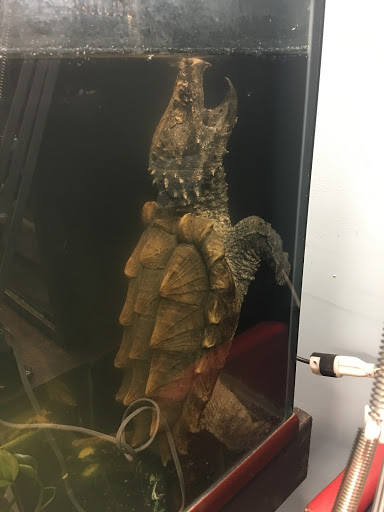 Aquarium «Aquarium Specialties & Research Center», reviews and photos, 235 Lancaster Ave, Malvern, PA 19355, USA