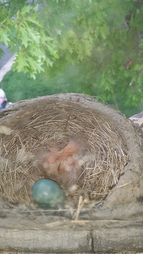 Museum «Curwood Castle Museum», reviews and photos, 224 Curwood Castle Dr, Owosso, MI 48867, USA