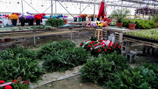 Wholesale Plant Nursery «Garden Fantasy», reviews and photos, 43250 Tyler Rd, Belleville, MI 48111, USA