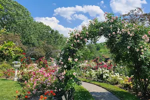 James P. Kelleher Rose Garden image