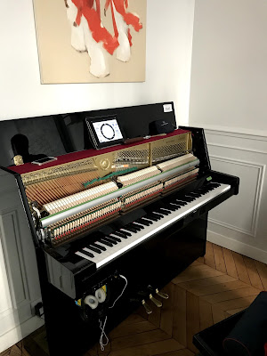 Mon Premier Piano à Paris