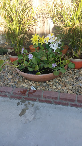 Pet Supply Store «PetSmart», reviews and photos, 11945 Central Ave, Chino, CA 91710, USA