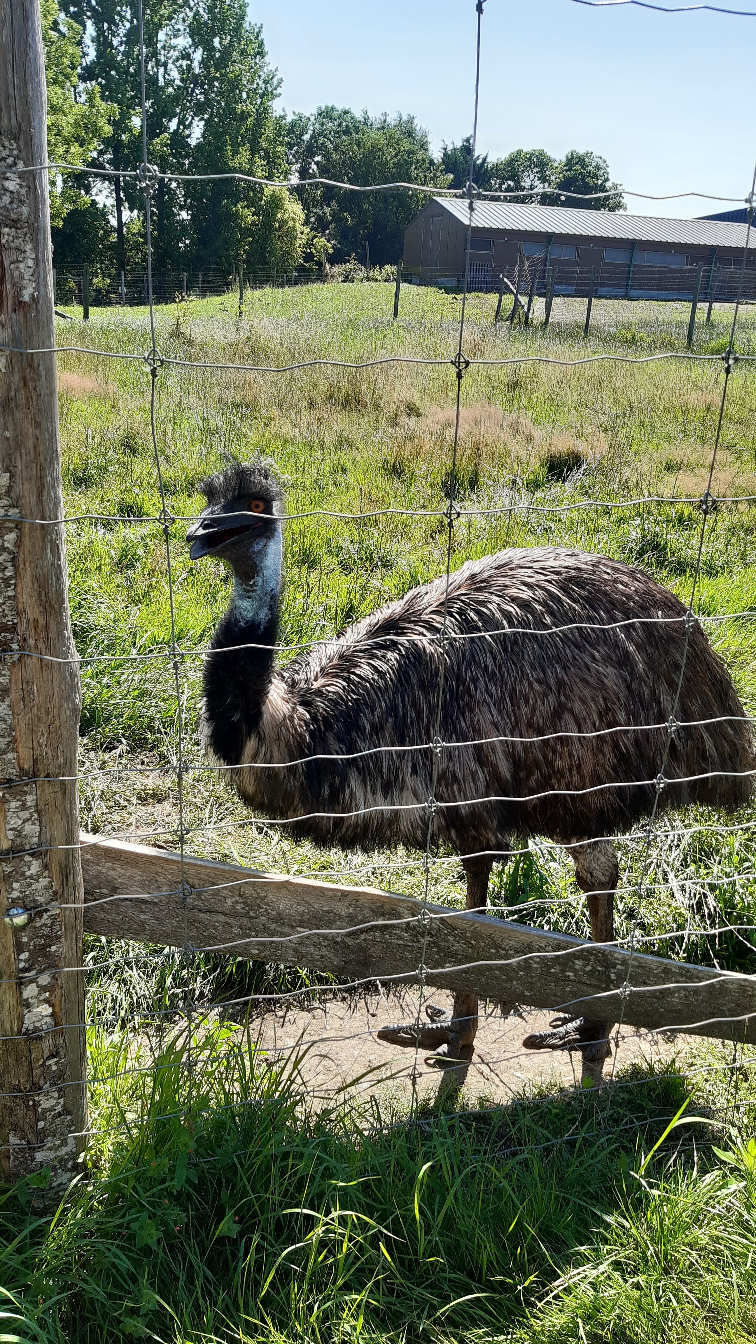 Photo n° 2 de l'avis de Margot. fait le 18/07/2021 à 20:17