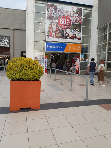 Tiendas para comprar plantas de terraza Lima