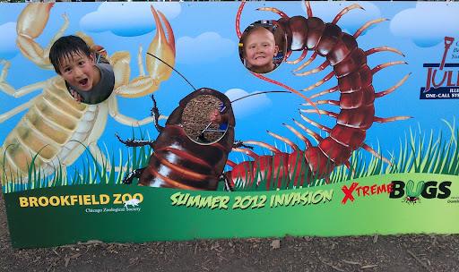 Zoo «Hamill Family Play Zoo», reviews and photos, 3300 Golf Rd, Brookfield, IL 60513, USA