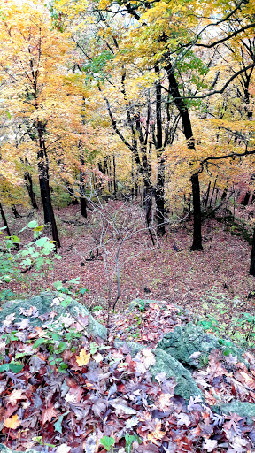 Visitor Center «Effigy Mounds National Monument Visitor Center», reviews and photos, 151 IA-76, Harpers Ferry, IA 52146, USA