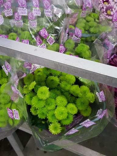 Florist «Norfolk Wholesale Floral», reviews and photos, 601 E Brambleton Ave, Norfolk, VA 23510, USA