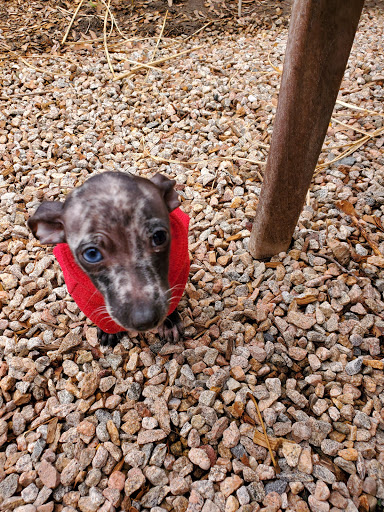 Pet Supply Store «Petco Animal Supplies», reviews and photos, 438 Southbridge St, Auburn, MA 01501, USA