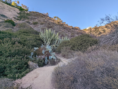 Cactus Canyon Trail