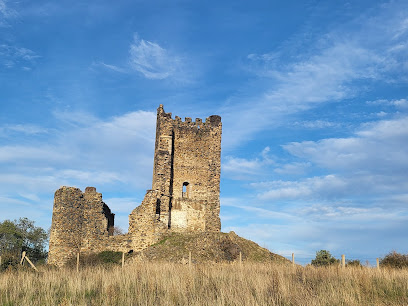 CASTILLO DE TEJEDA Y SEGOYUELA