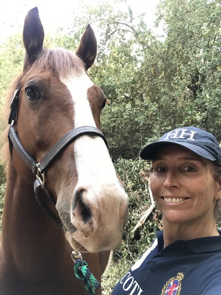 Healthy Horse Massage and Grooming El Cerrito, CA Services, Reviews