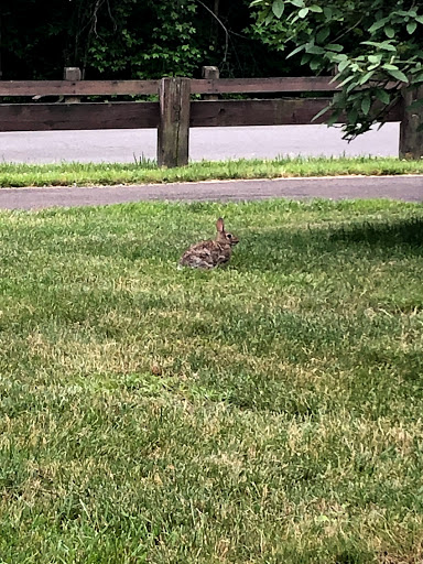 Park «Beech Woods Park», reviews and photos, 137 Beekman Rd, Kendall Park, NJ 08824, USA