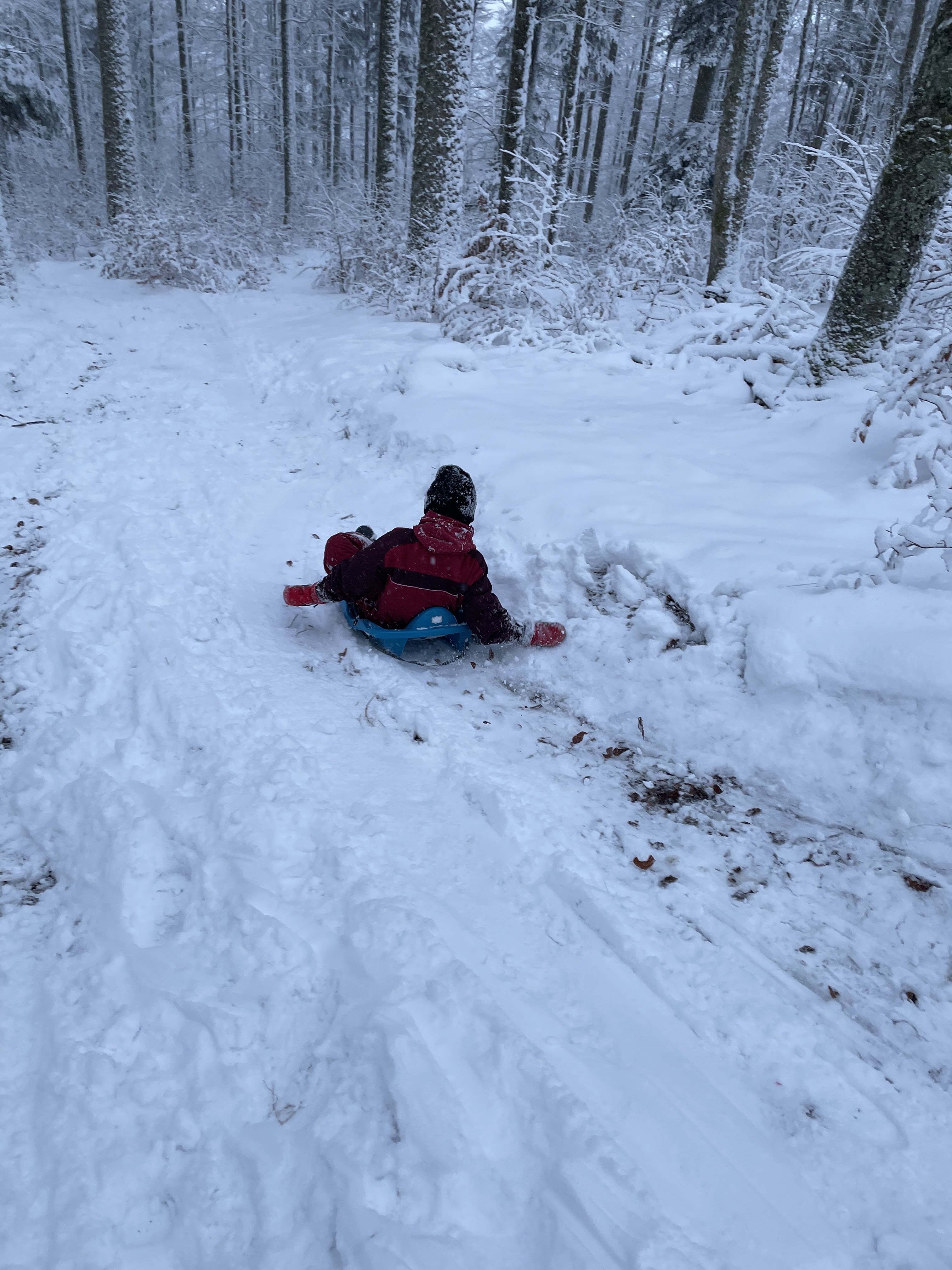 Photo n° 3 de l'avis de Sébastien.u fait le 12/01/2021 à 20:34